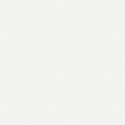 Обои W190001 Rasch Bright Whisper