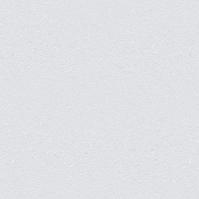 Обои W189103 Rasch Bright Whisper