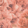 Обои 6001-04 Eurodecor Peony