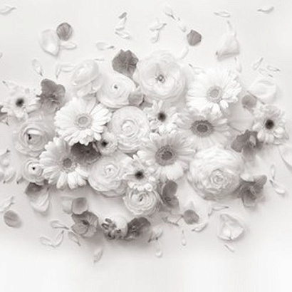 Обои 306012 BN International Sweet dreams BN International коллекция Sweet dreams (BN International) производства Нидерланды в интернет-магазине Обоитрейд