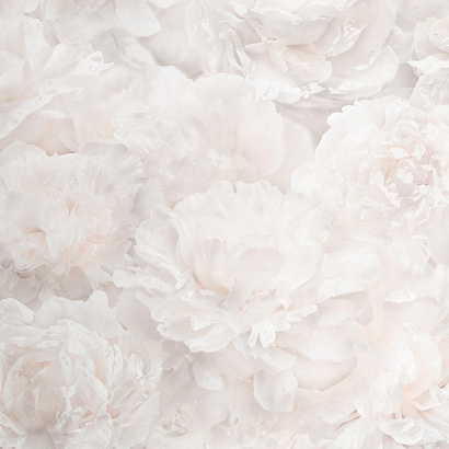 Обои HC71995-12 Home color Pions Home color коллекция Pions производства РОССИЯ в интернет-магазине Обоитрейд