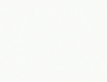 Обои W187001 Rasch Wall Up Step-Up