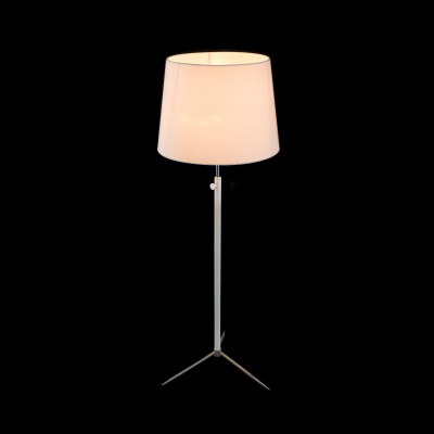 Торшер Maytoni Modern MOD323-FL-01-W