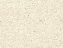 Обои 520835 Rasch Concrete