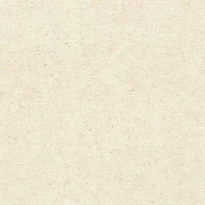 Обои 520835 Rasch Concrete Rasch коллекция Concrete производства Германия в интернет-магазине Обоитрейд