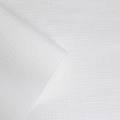 Обои HC40002-01a Home color Nano Home color коллекция Nano производства РОССИЯ в интернет-магазине Обоитрейд