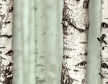 Обои 54198-3 Andrea Rossi Sicily