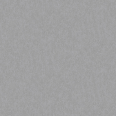 Обои W190029 Rasch Bright Whisper