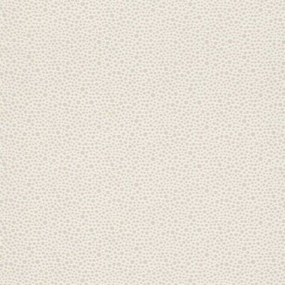 Обои 517910 Rasch Kids&Teens