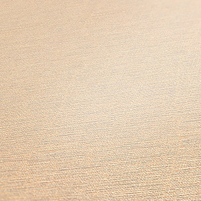 Обои 30689-6 AS Creation Mia+Paul AS Creation коллекция Mia+Paul производства Германия в интернет-магазине Обоитрейд