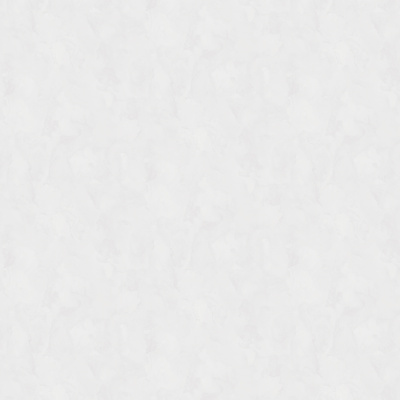 Обои W197013 Rasch Bright Whisper