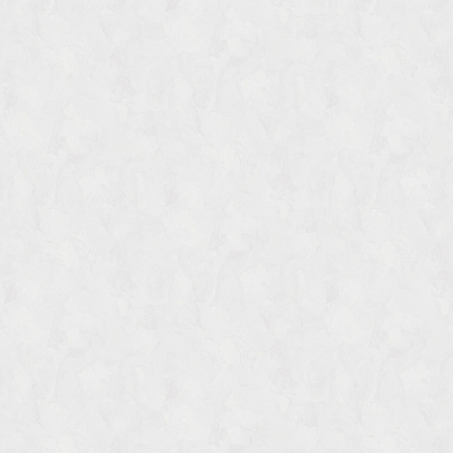 Обои W197013 Rasch Bright Whisper Rasch коллекция Bright Whisper производства  в интернет-магазине Обоитрейд