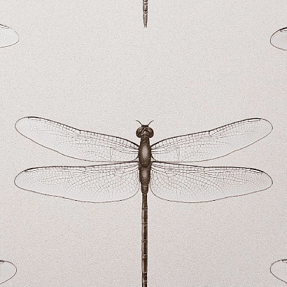 Обои 54426-2 Andrea Rossi Cavolli Andrea Rossi коллекция Cavolli производства Италия в интернет-магазине Обоитрейд