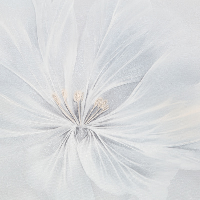 Обои FM72425-16 PalitraFamily Faraday