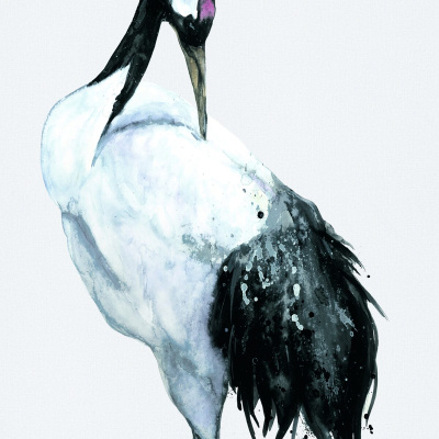 Обои 34594 Marburg Otaru/Kumano