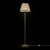 Торшер Maytoni Royal Classic RC093-FL-01-R