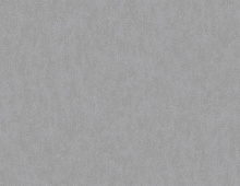 Обои W190029 Rasch Bright Whisper