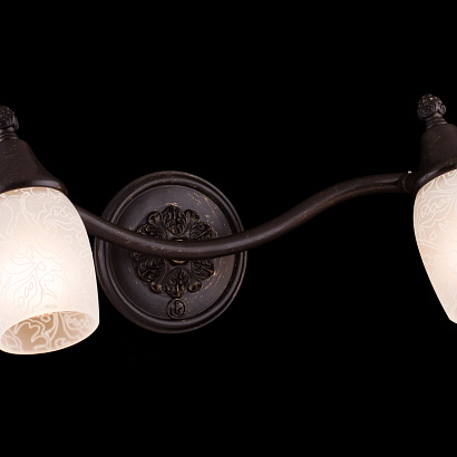 Спот Maytoni Spot SP563-CW-02-R