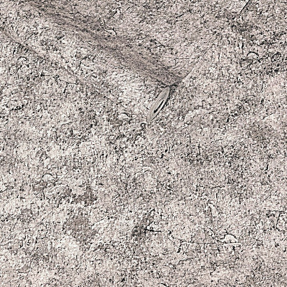 Обои 22220-3 DuKa Natura DuKa коллекция Natura производства Турция в интернет-магазине Обоитрейд