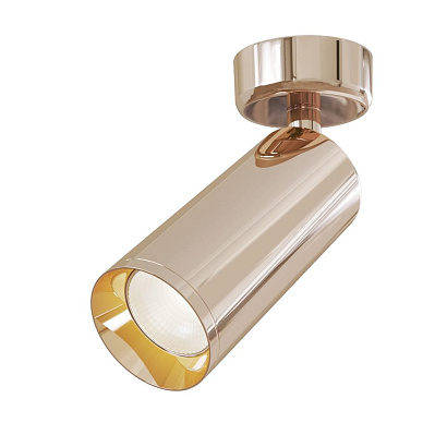 Потолочный светильник Technical Ceiling & Wall C017CW-01RG