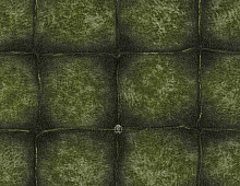 Обои RC17034 Roberto Cavalli Home 6