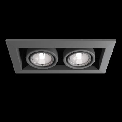 Встраиваемый светильник Technical Downlight DL008-2-02-S
