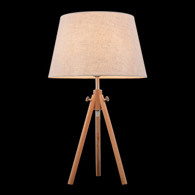 Настольная лампа Maytoni Table & Floor Z177-TL-01-BR