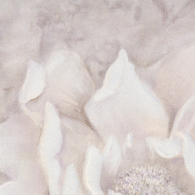 Обои PL72255-65 Палитра Valencia