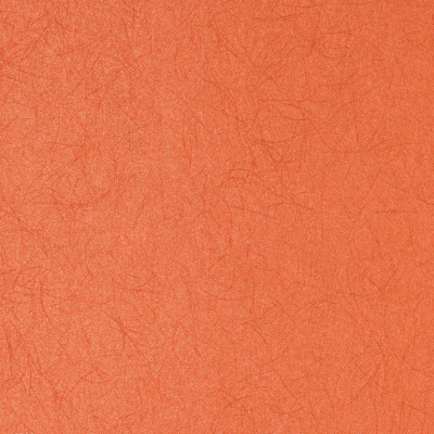 Обои 5068-58 Bernardo Bartalucci Legend