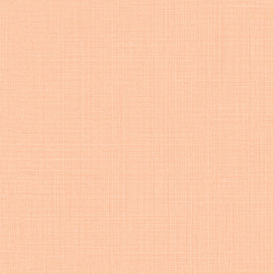 Обои JR1004 Grandeco Jack n Rose Junior