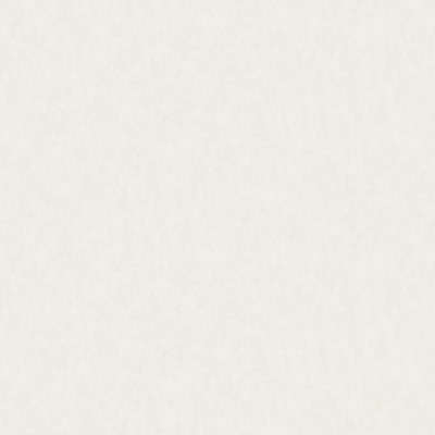 Обои W190002 Rasch Bright Whisper