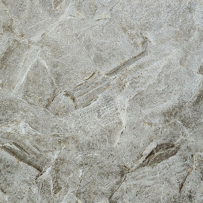 Обои ER2109 Wiganford Fusion Wiganford коллекция Fusion производства Великобритания в интернет-магазине Обоитрейд