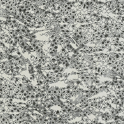 Обои 19035 Emiliana Parati Roberto Cavalli №8 Roberto Cavalli коллекция Roberto Cavalli №8 производства Италия в интернет-магазине Обоитрейд