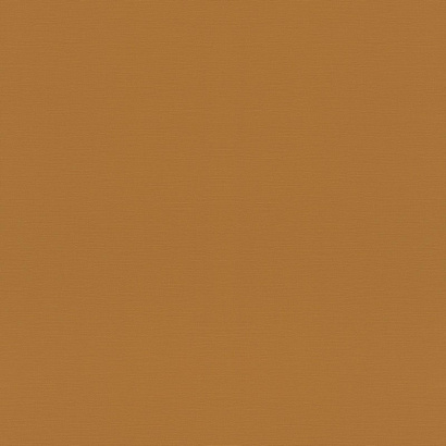 Обои 688054 Rasch Tropical House / Rhapsody / Symphony / Allegretto Rasch коллекция Tropical House производства Германия в интернет-магазине Обоитрейд