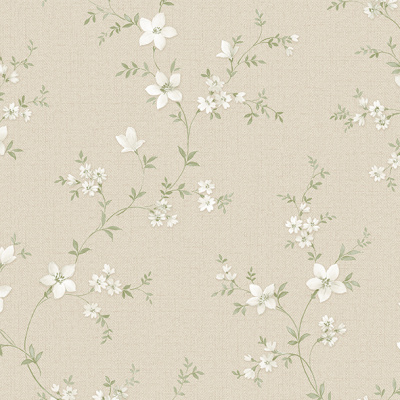 Обои 1001-2 Alessandro Allori Bruni