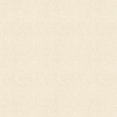 Обои 520835 Rasch Beltesto