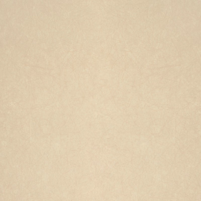 Обои 5068-22 Bernardo Bartalucci Legend