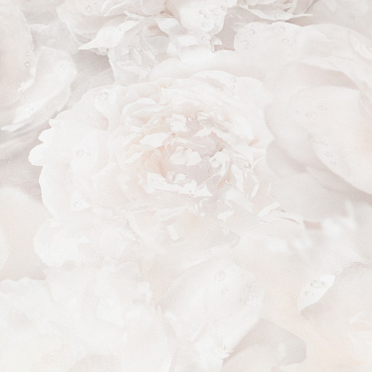 Обои HC71995-12 Home color Pions Home color коллекция Pions производства РОССИЯ в интернет-магазине Обоитрейд