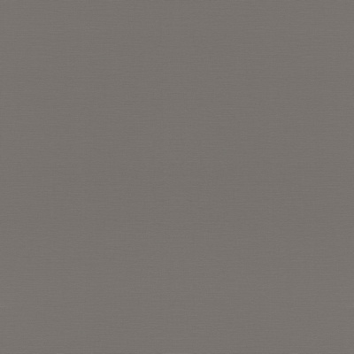 Обои 688030 Rasch Tropical House