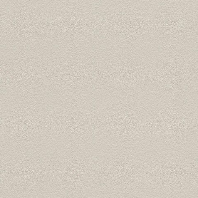 Обои 469004 Rasch Kids&Teens