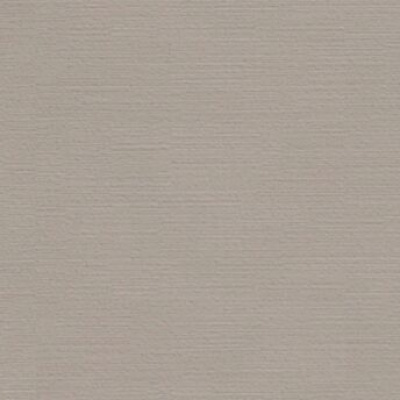 Обои R 24241 Fipar Italian Comfort