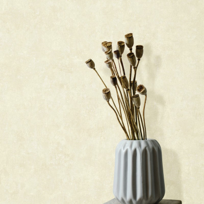 Обои 5067-2 Bernardo Bartalucci Bigi