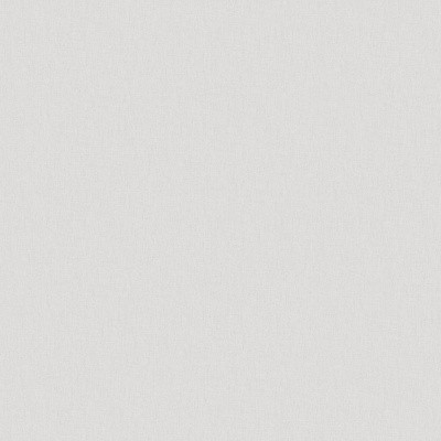 Обои W193003 Rasch Bright Whisper