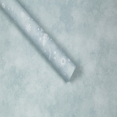 Обои SP72184-74 Палитра Simple Lovets Snov