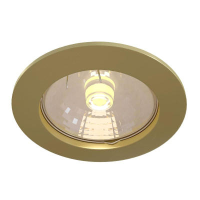Встраиваемый светильник Technical Downlight DL009-2-01-G