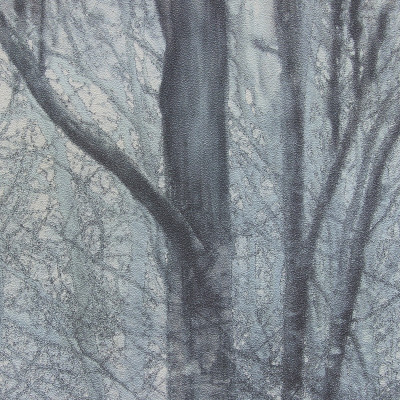 Обои 70392-76 R аспект Акцент Таинственный лес