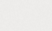 Обои W190013 Rasch Bright Whisper