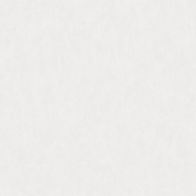 Обои W190013 Rasch Bright Whisper