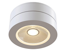 Потолочный светильник Technical Ceiling & Wall C022CL-L12W