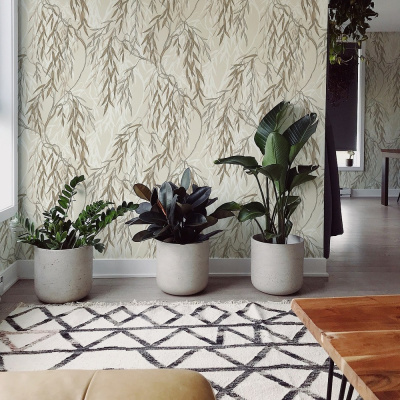 Обои E201704 Solo Willow